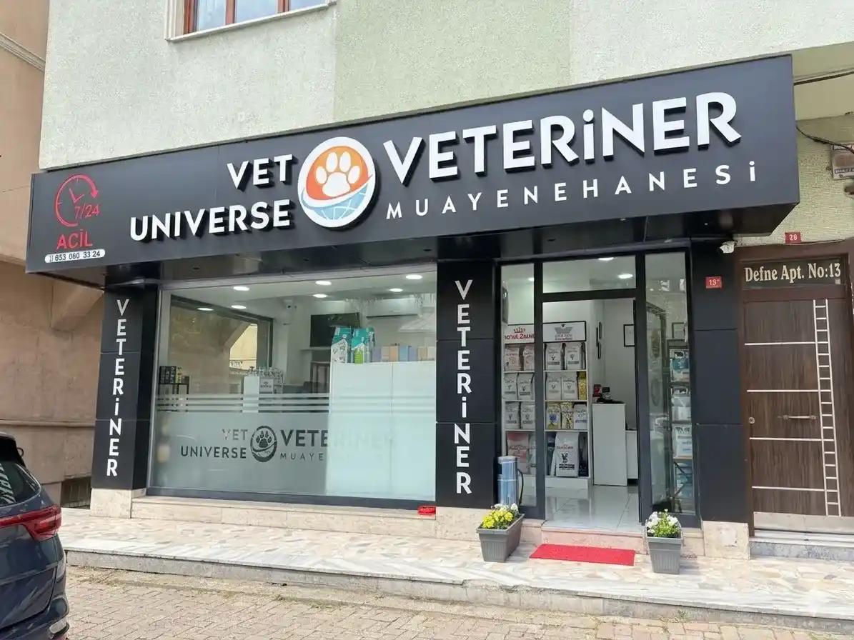 Klinik Girişi